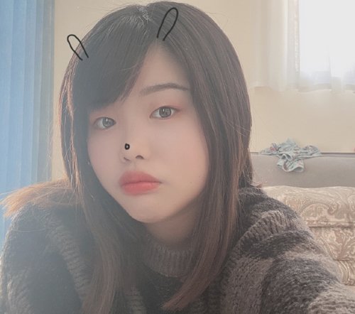 Ůͼô ⶼ